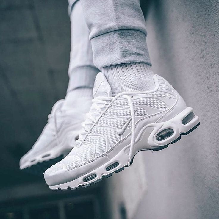 Nike Air Max Plus TN white