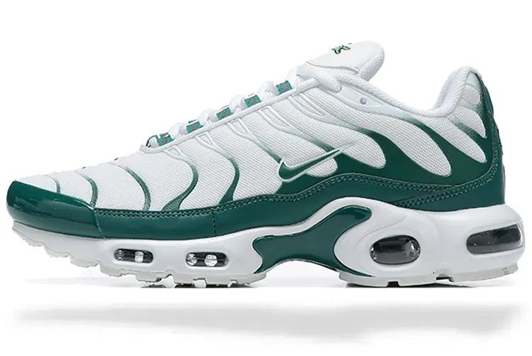 Nike Air Max TN (mixed colours)