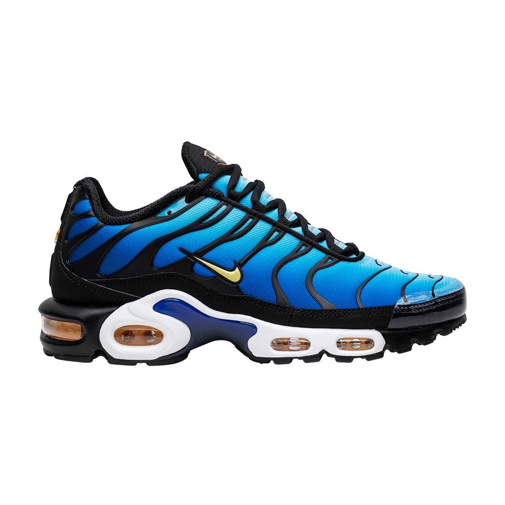 Nike Air Max TN (mixed colours)