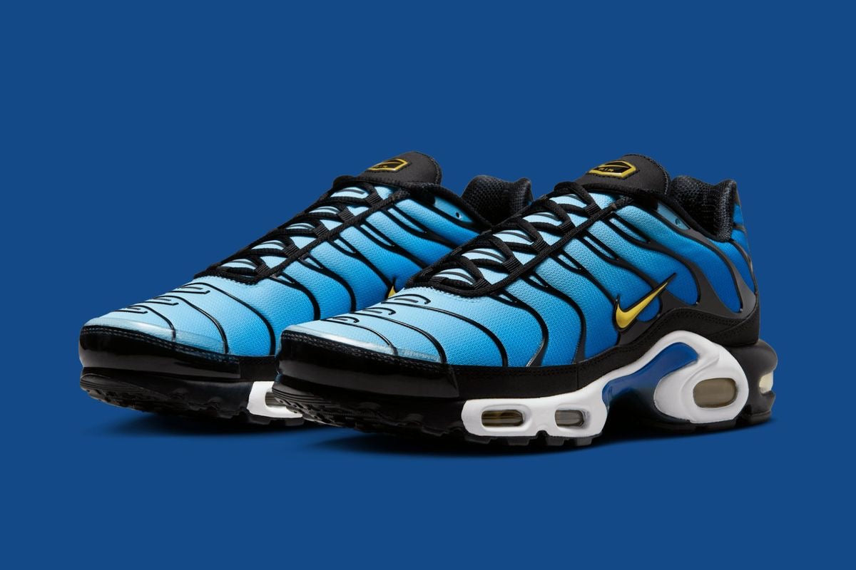 Nike Air Max TN (mixed colours)