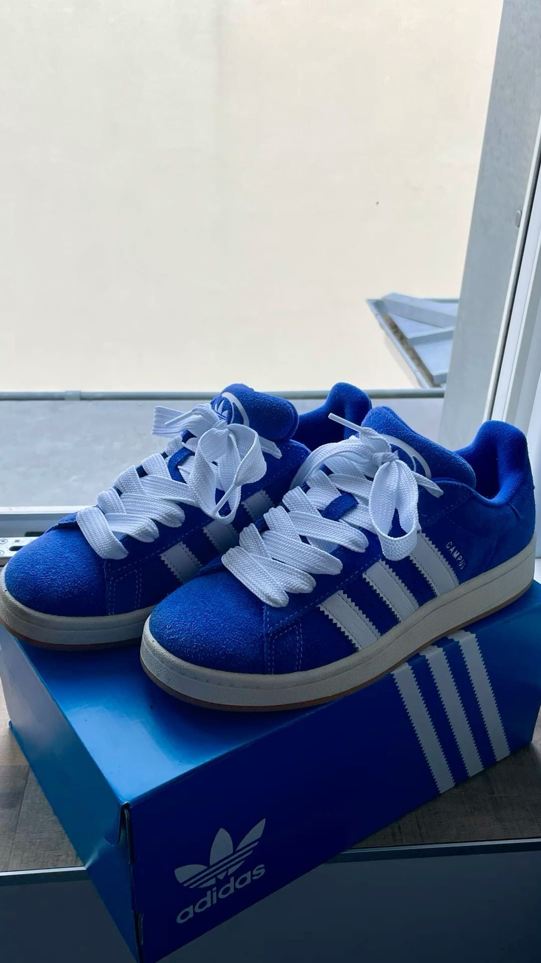 Adidas campus
